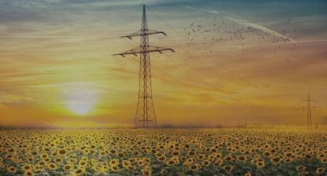 80. ¿Las parrillas eléctricas son recomendables para personas con poco espacio en casa?